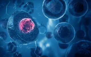 Nordquist - tailored wellness solutions